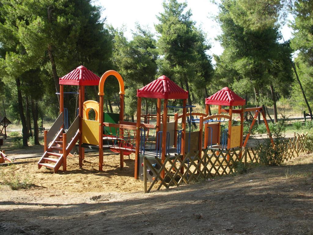 Προλάβετε την προθεσμία για παιδικές κατασκηνώσεις