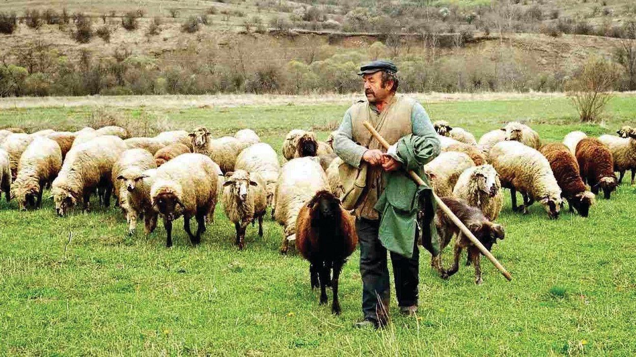 Η ταλαιπωρία των κτηνοτρόφων συνεχίζεται