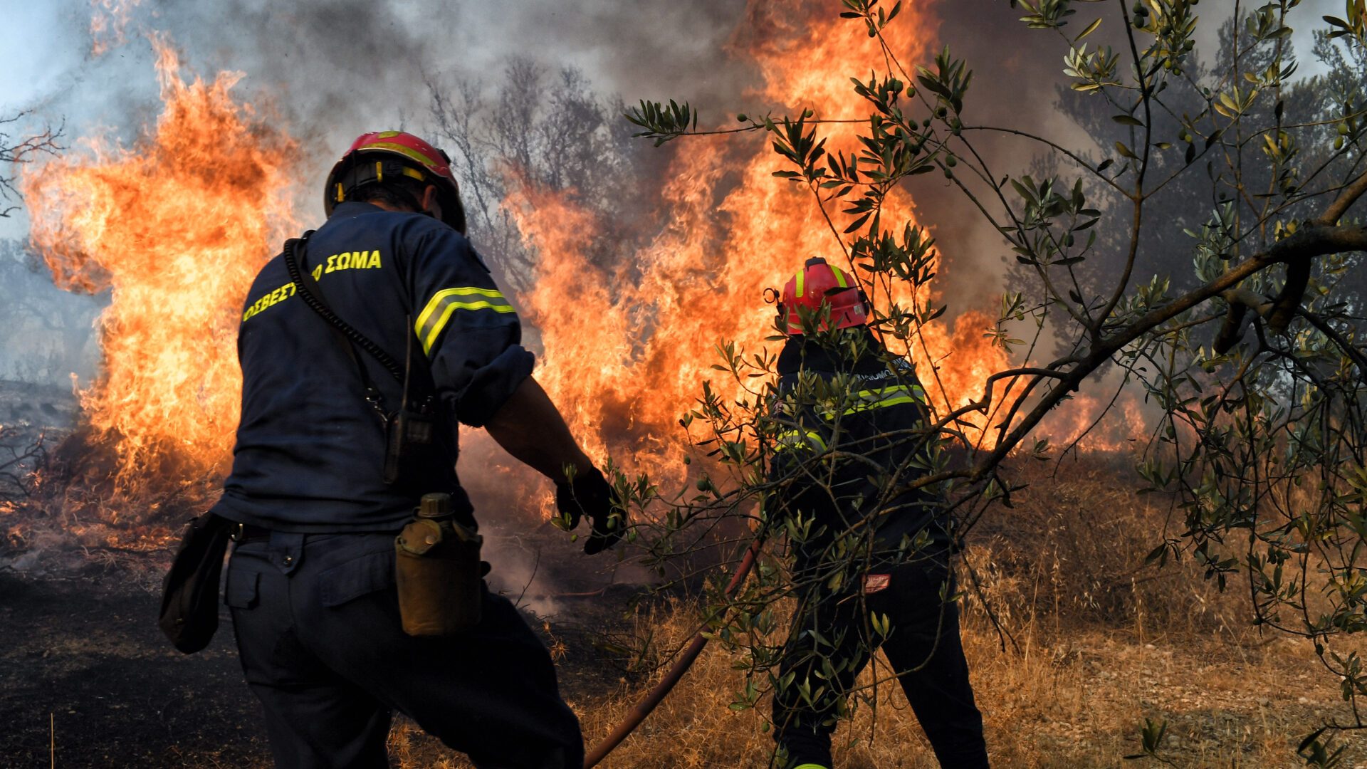 Η Πατριωτική Ένωση δίπλα στο Πυροσβεστικό Σώμα