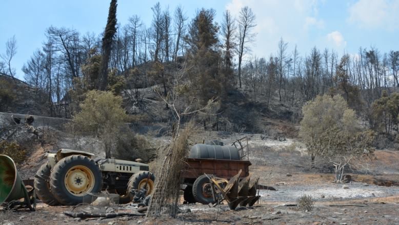 Αύριο οι αποζημιώσεις σε πυρόπληκτους αγρότες