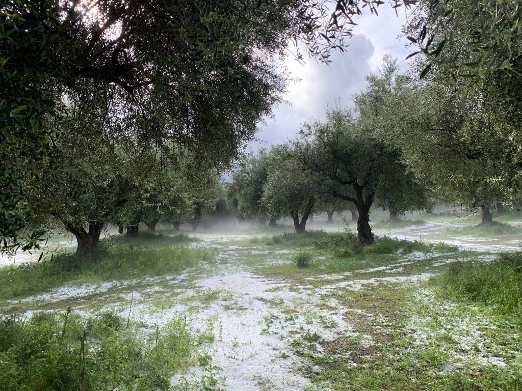 Τσάκισε τη νέα παραγωγή το χαλάζι