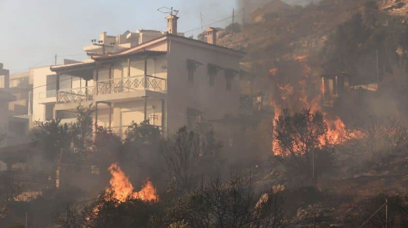 Κάηκαν ζωντανά δεκάδες ζώα στο καταφύγιο «Fazoo Farm» στο Λαγονήσι