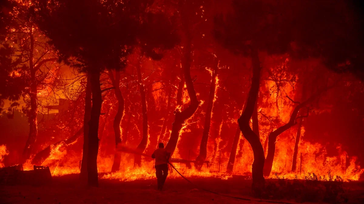 Οι πυρκαγιές σκοτώνουν χιλιάδες από μακριά