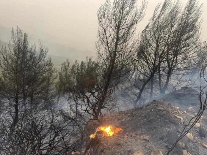 Φωτιά στους Σχίνους