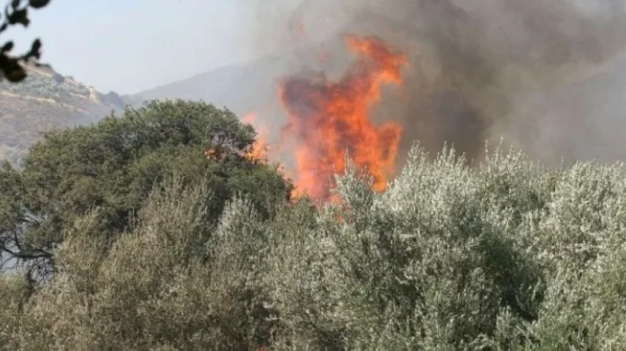 Συνεχίζεται η μεγάλη φωτιά στην Πιερία