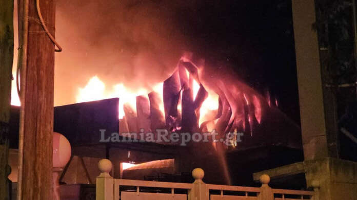 Συναγερμός στη Λαμία για μεγάλη πυρκαγιά