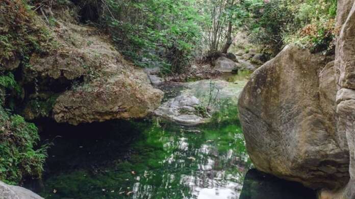 Σκοτώθηκε αγόρι που καταπλακώθηκε από κλαρί