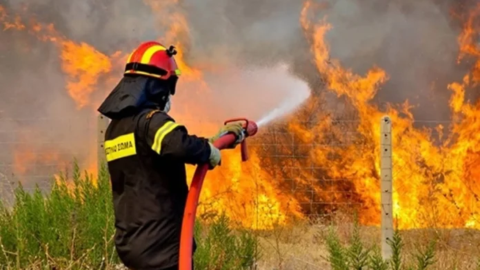 Βρήκε την ...κατάλληλη ημέρα για να κάψει ξερόχορτα!