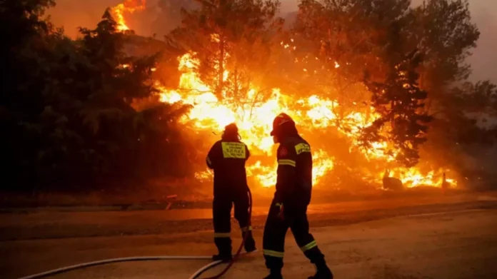 Μακάβριο εύρημα για τους πυροσβέστες στη Αμαλιάδα