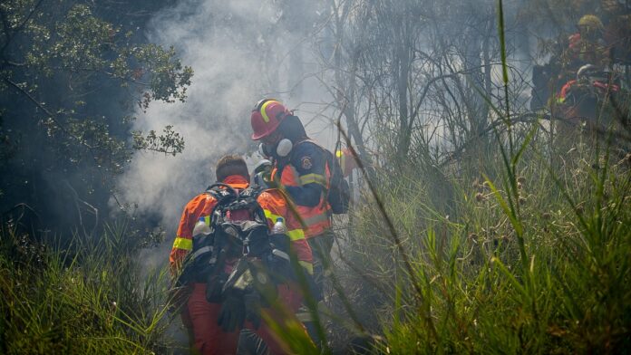 Συνελήφθη και οδηγήθηκε στη φυλακή αλλοδαπός για εμπρησμό στην Ηλεία!