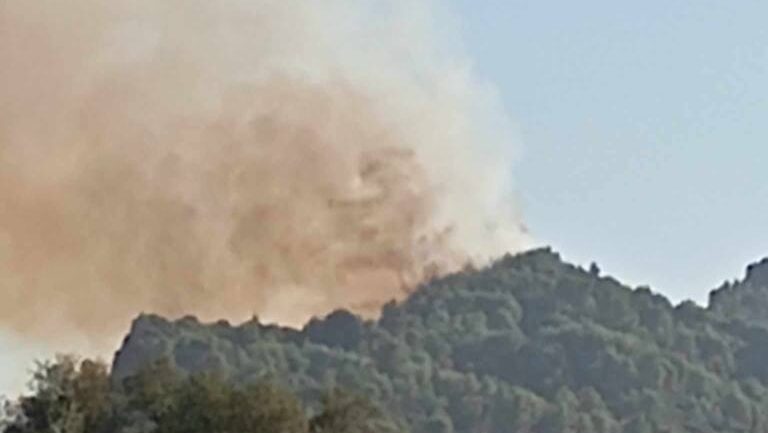 Καίγεται αναγεννημένη δασική έκταση