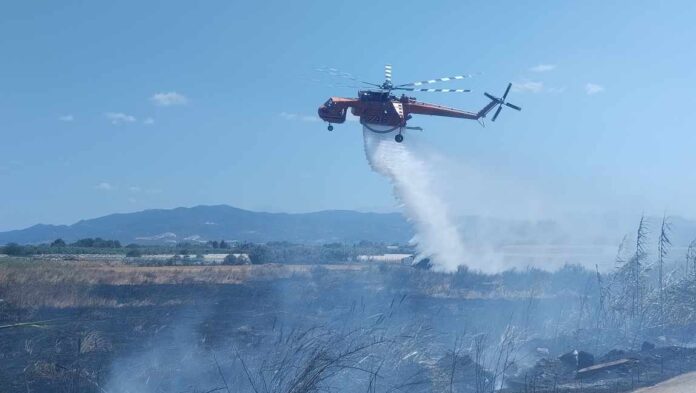 Συνελήφθη εμπρηστής για δυο πυρκαγιές στη Ζάκυνθο