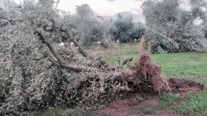 Σοβαρές ζημιές στη βόρεια Ηλεία από ανεμοστρόβιλο