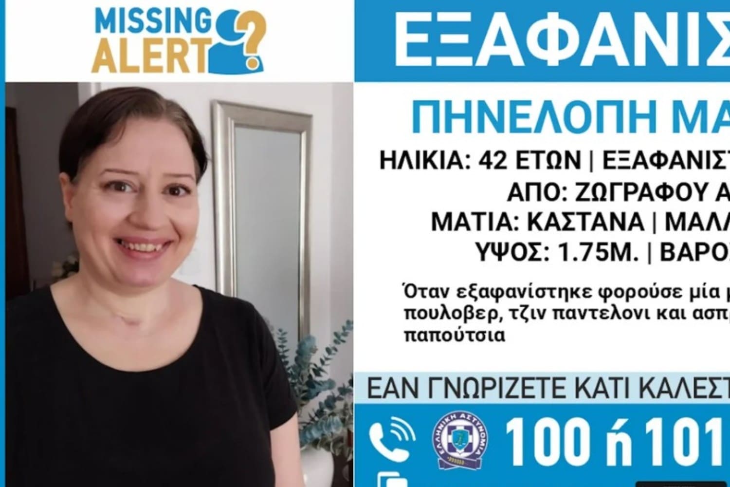 eksafanisi zwgrafou 13 11 24