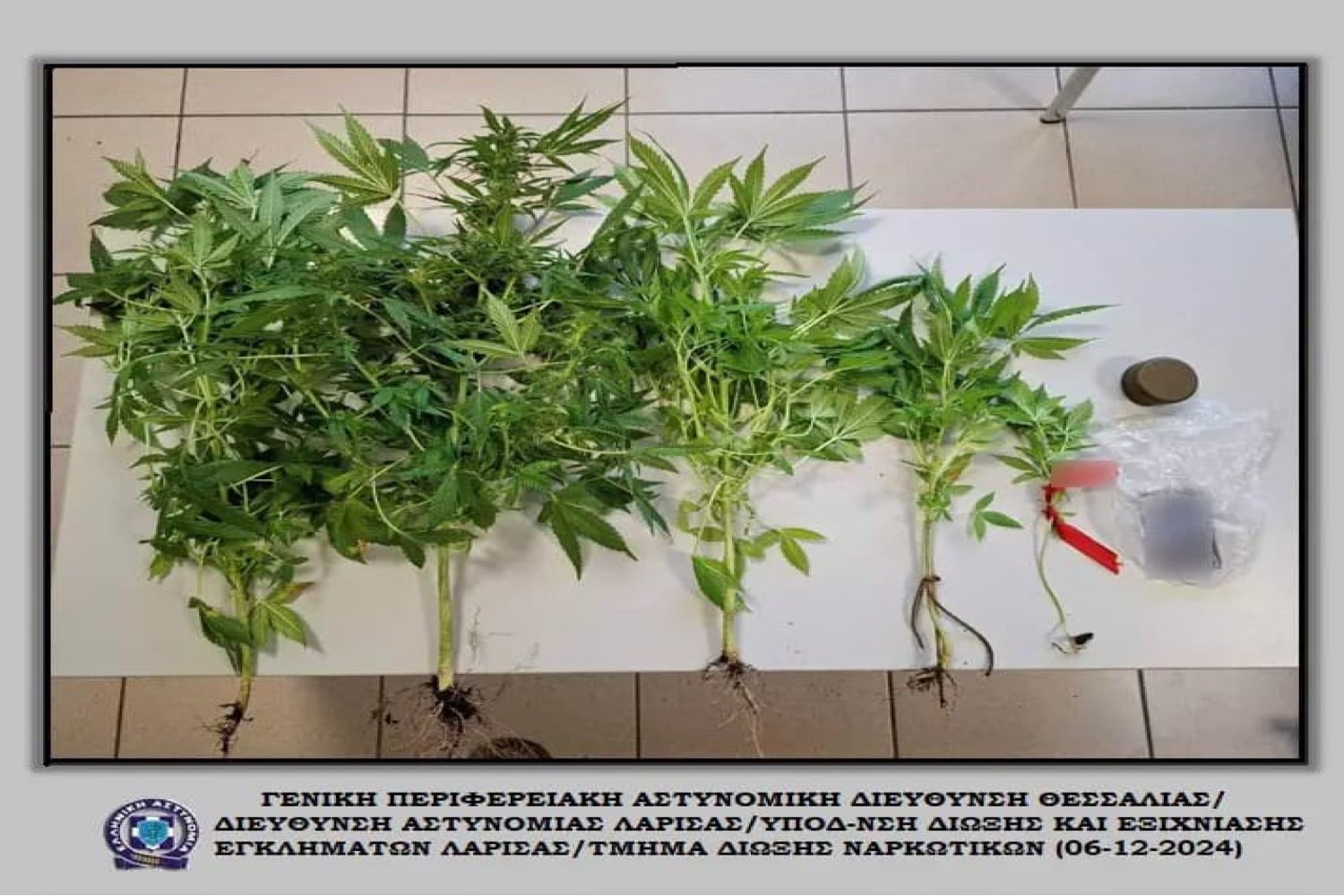 narkotika larisa 8 12 2024