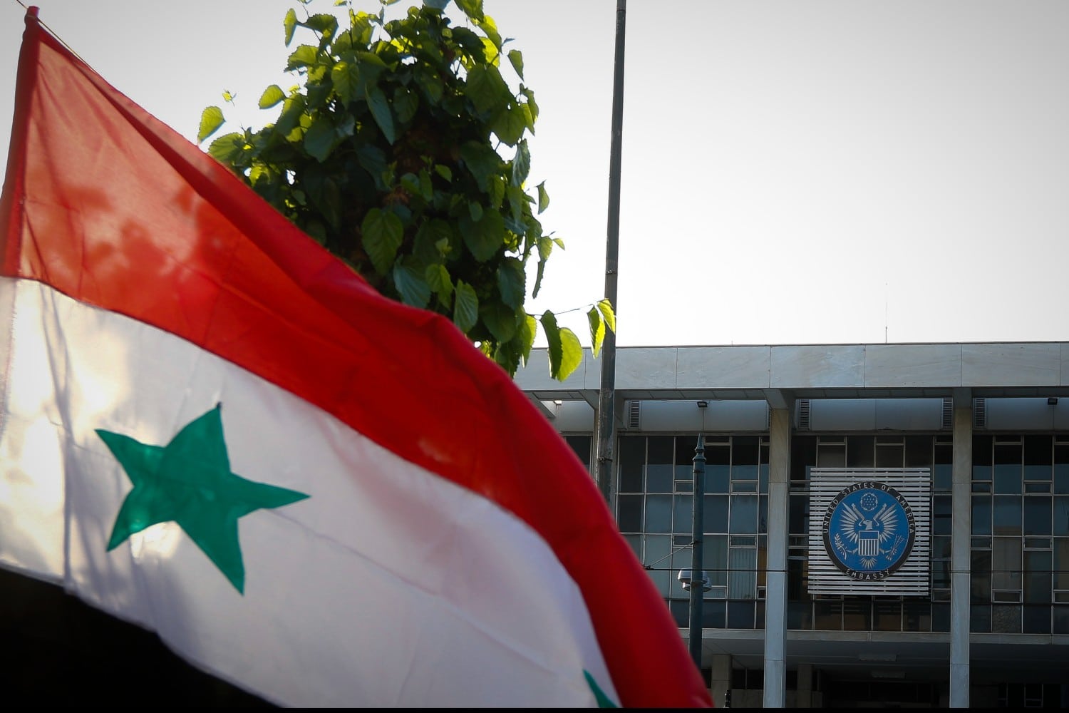 presveia syria 8 12 2024