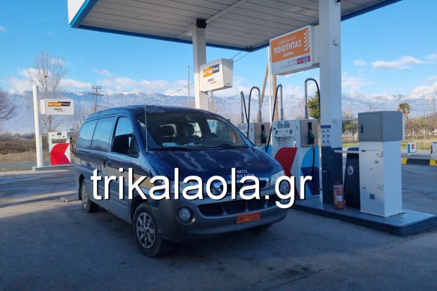 listeia 31 1 2