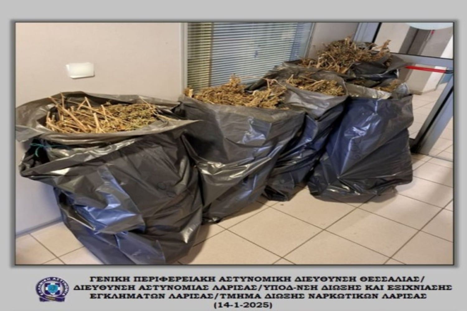 narkotika tyrnabos sillipsi 14 01 2025
