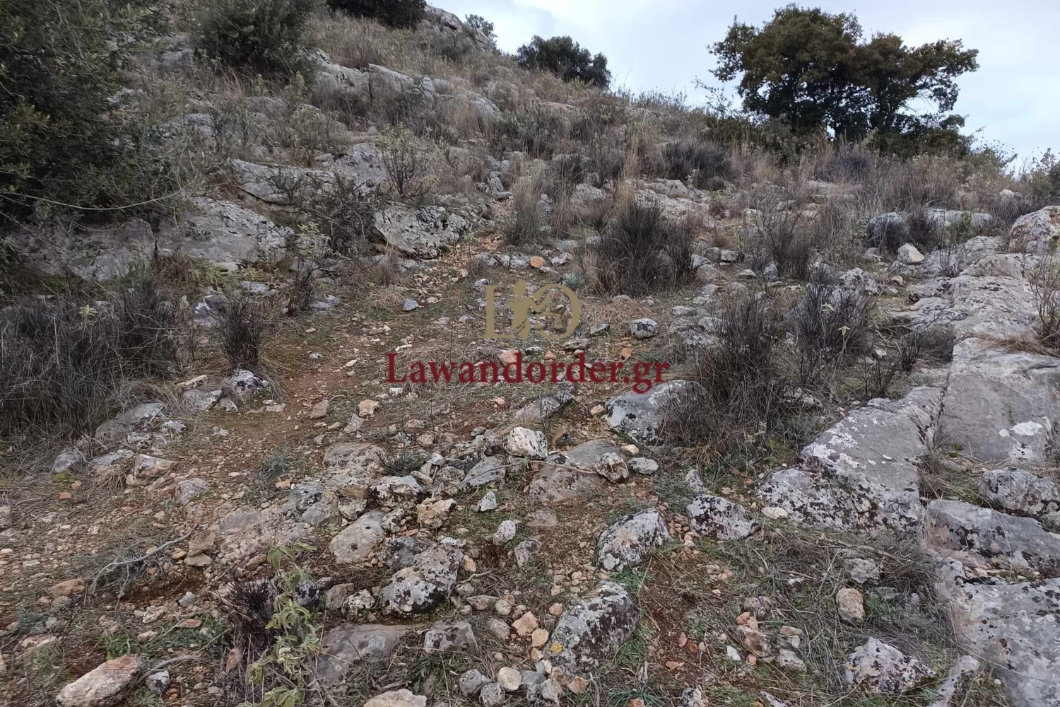 basilis kalogirou tirnavos 21 2 1