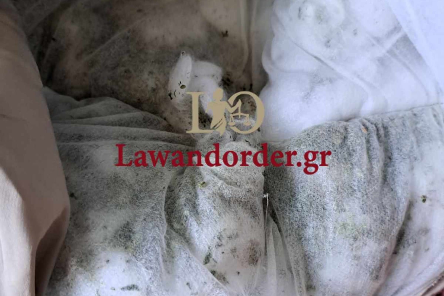 narkwtika korydallos 20 2 25