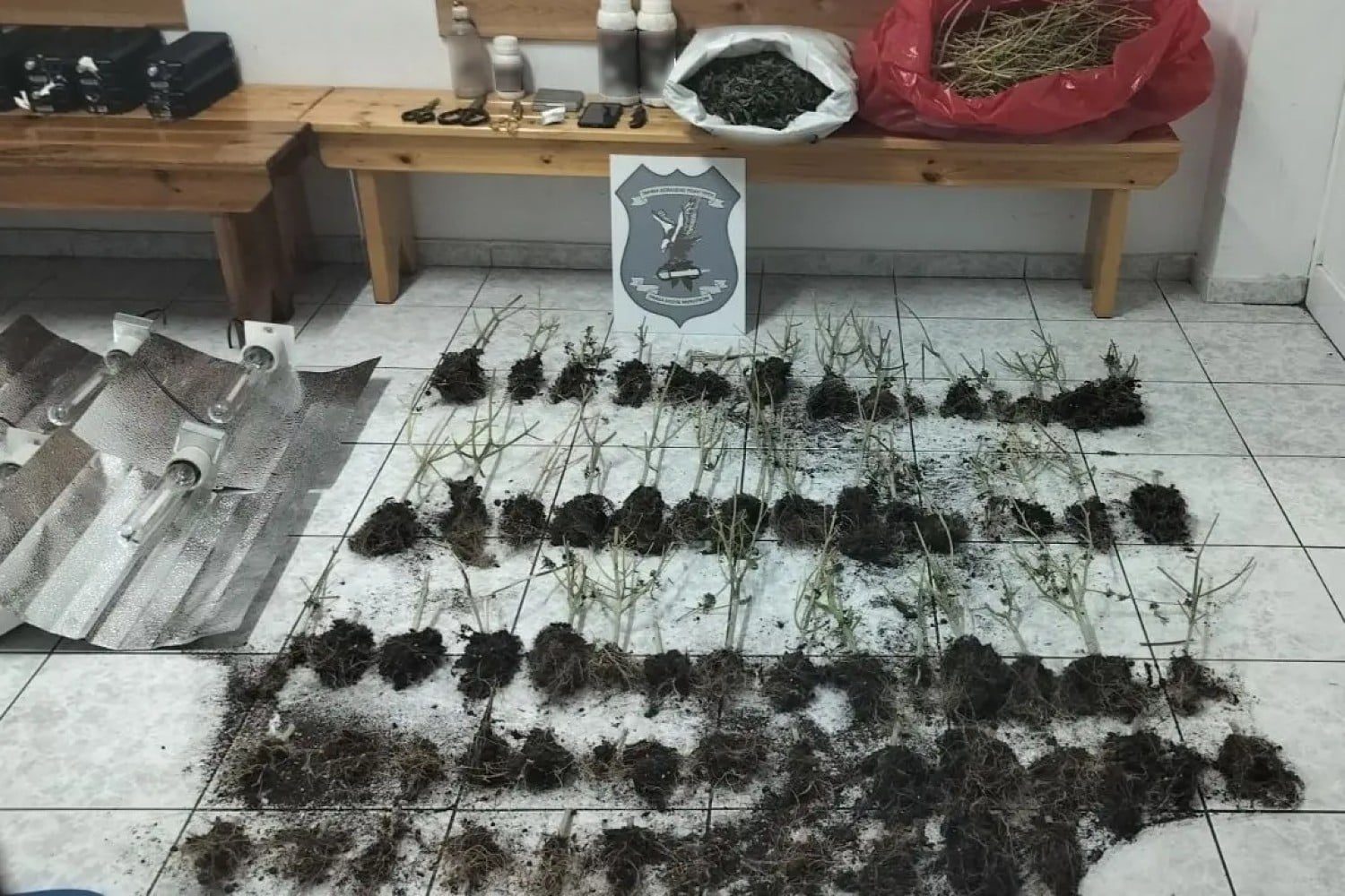 xalkidiki narkotika kannabis elas 05 03 2025