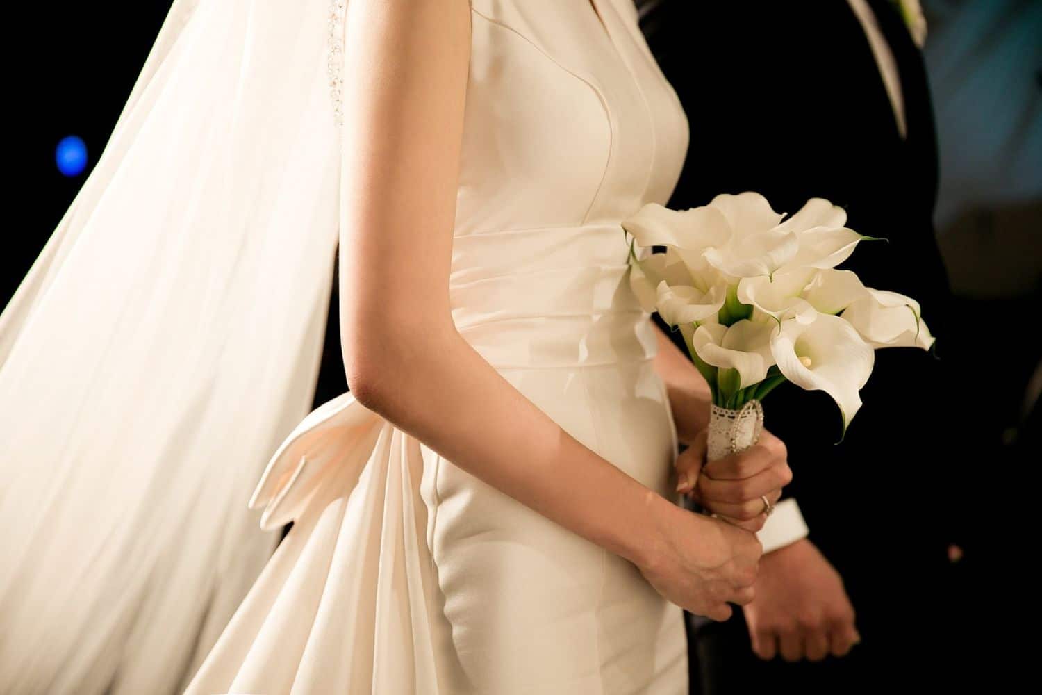 gamos pixabay 01 04 2025