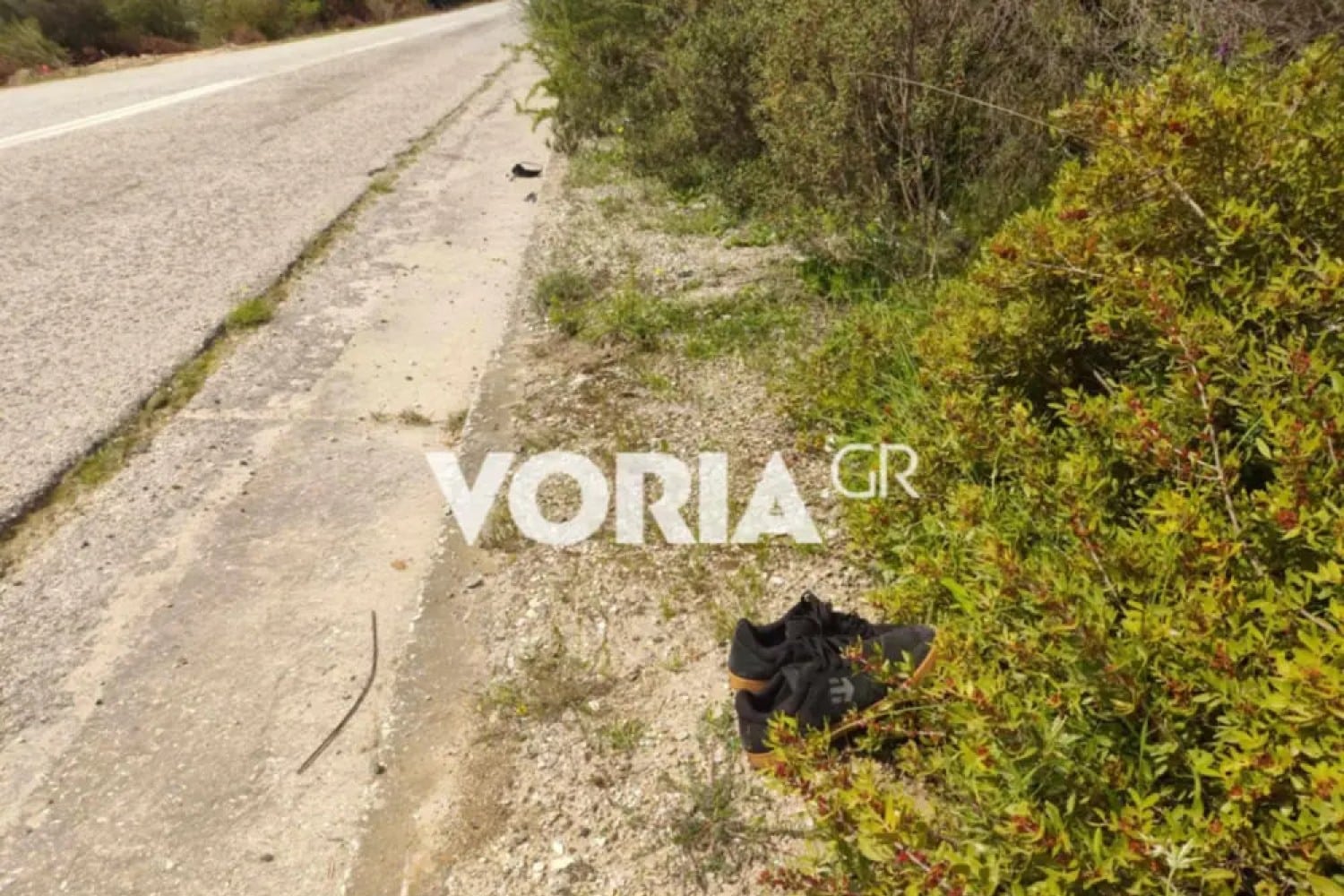 troxaio xalkidiki 5 4 2025 2