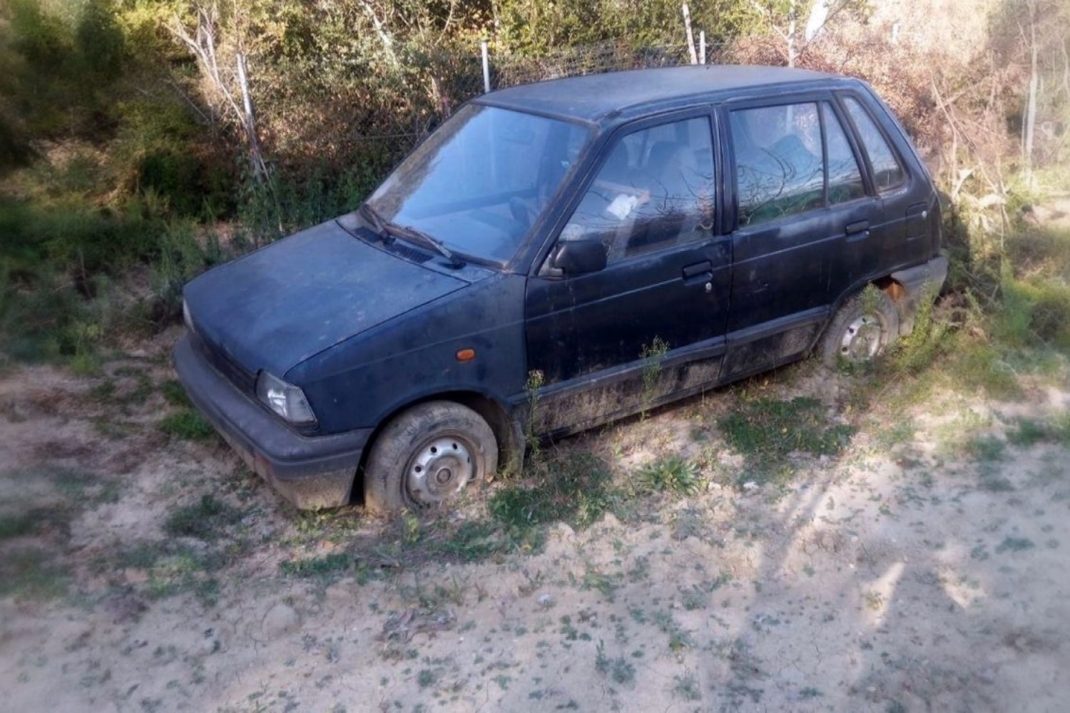 amaksi eksafanisi 31 5