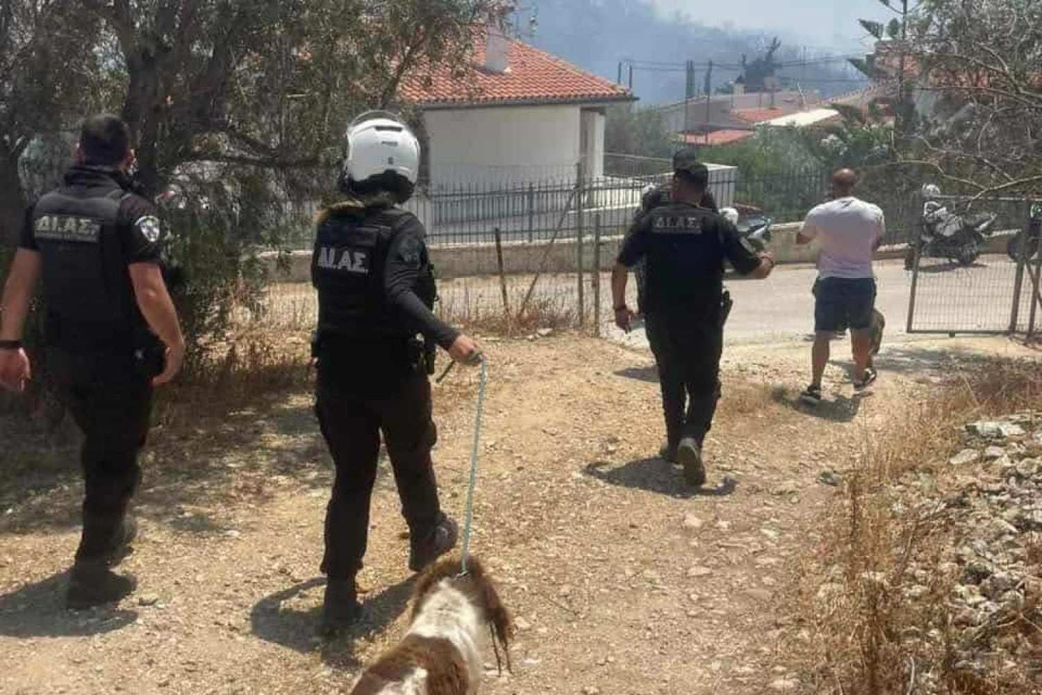 astynomikoi fokaia