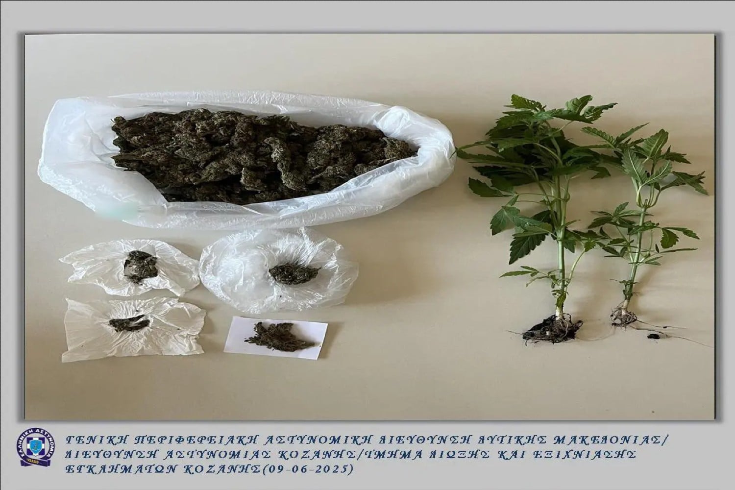 kozani elas kannabis 09 06 2025