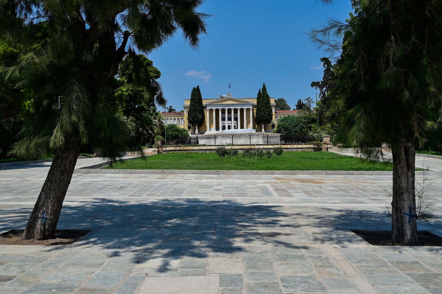 zappeio 30 7 25