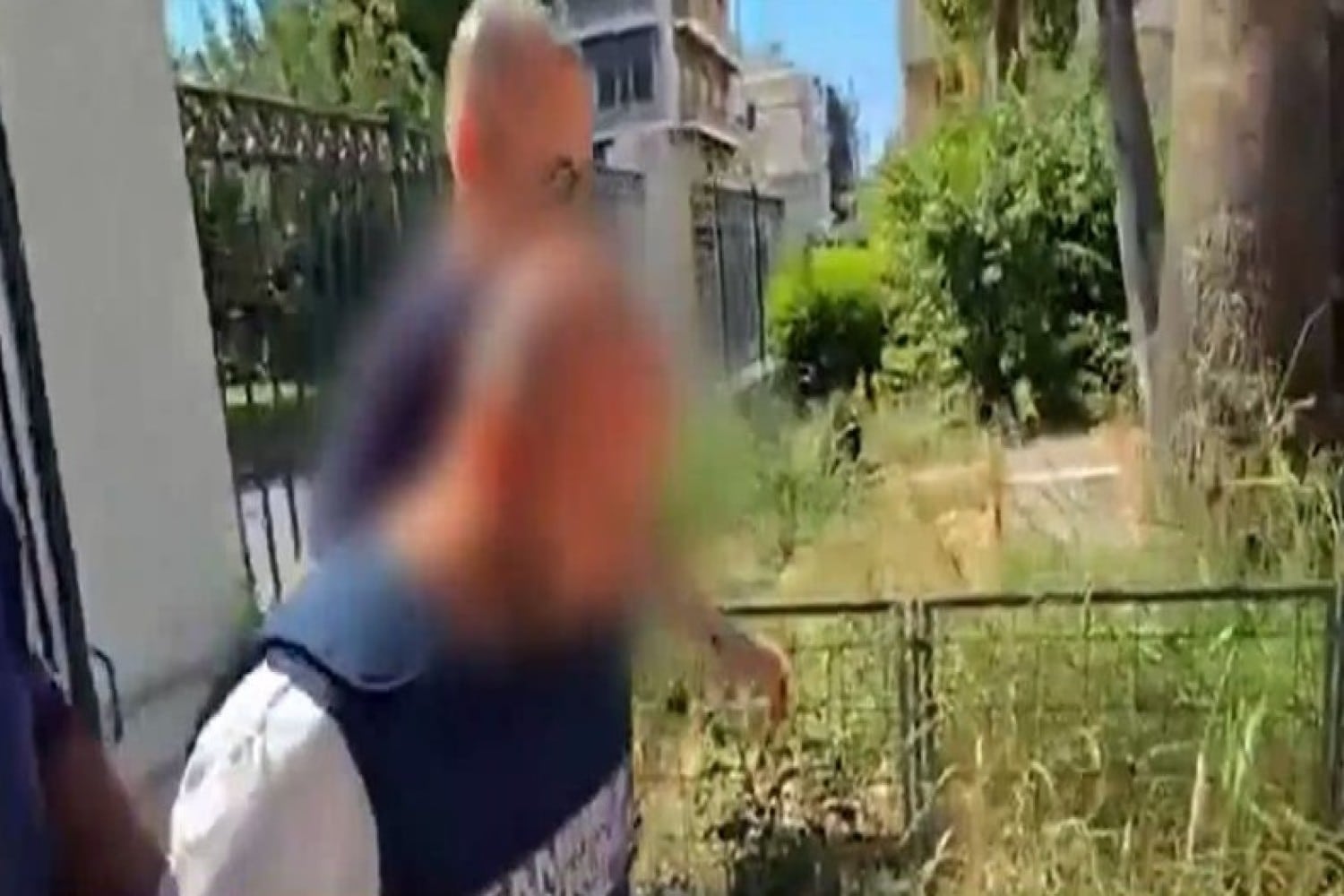 dolofonos volos 24 8 2025
