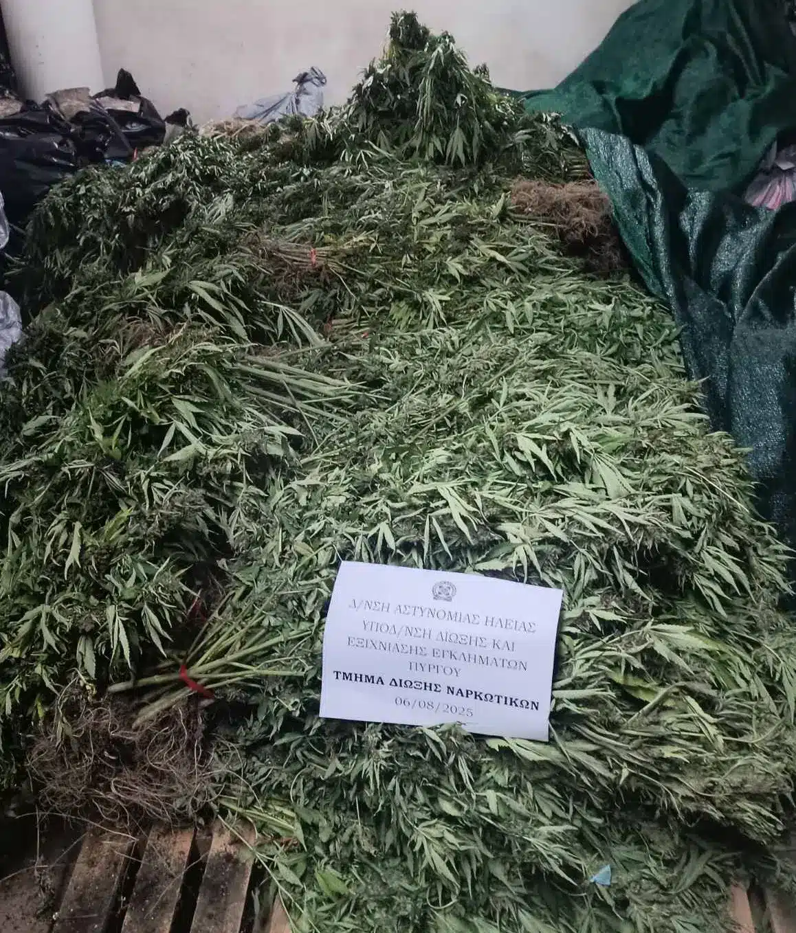 kannabhs aitoloakarnania elas 07 08 2025 4