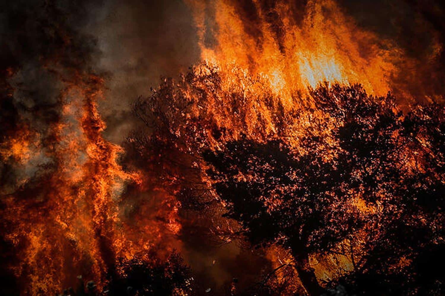 kerkyra oriothetithike i fotia sta vasilika 29 7 25