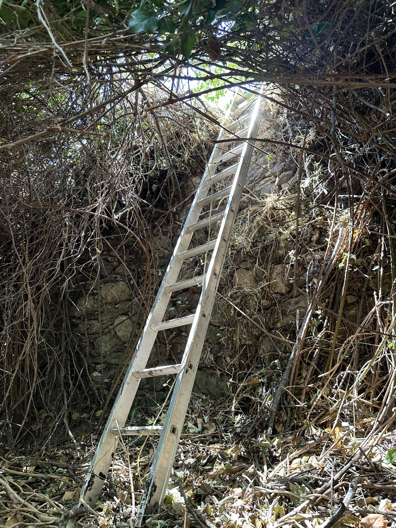 lesbos narkotika elas 06 08 2025 2
