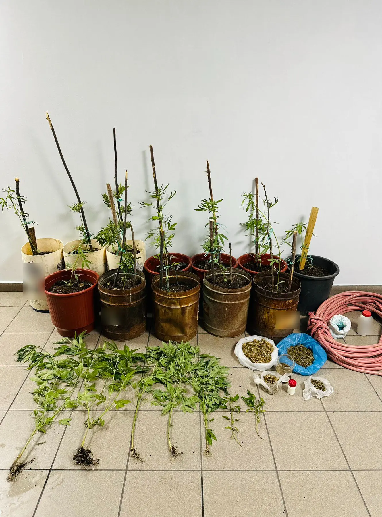 lesbos narkotika elas 06 08 2025 3