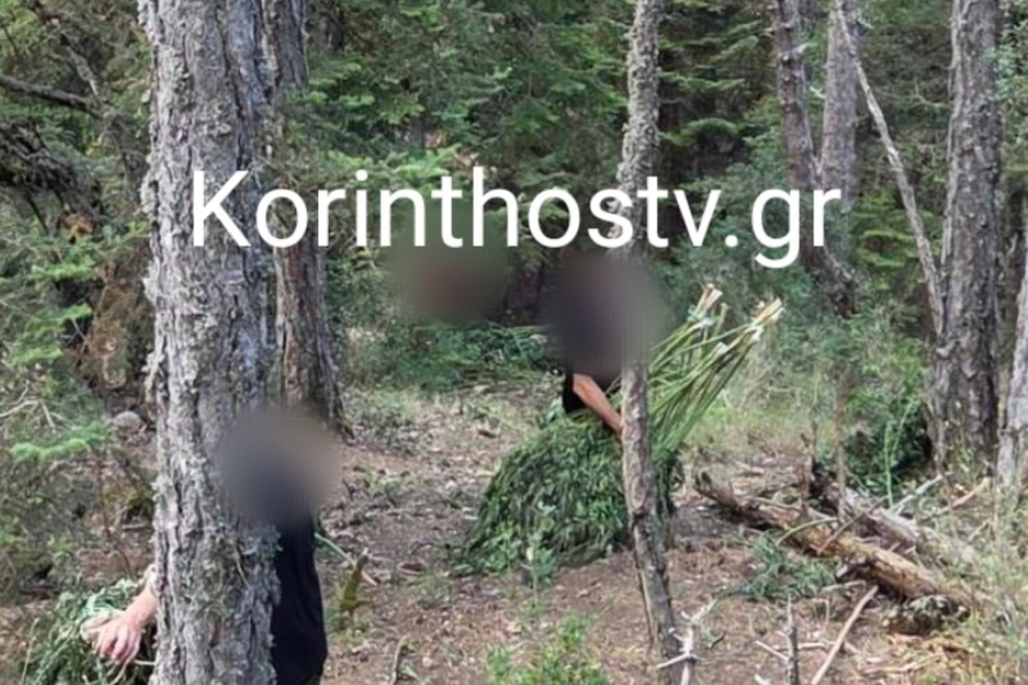 korinthia kannavi 11 9 25
