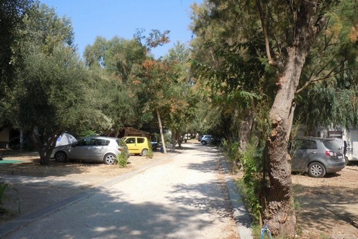 camping ammos 6 10