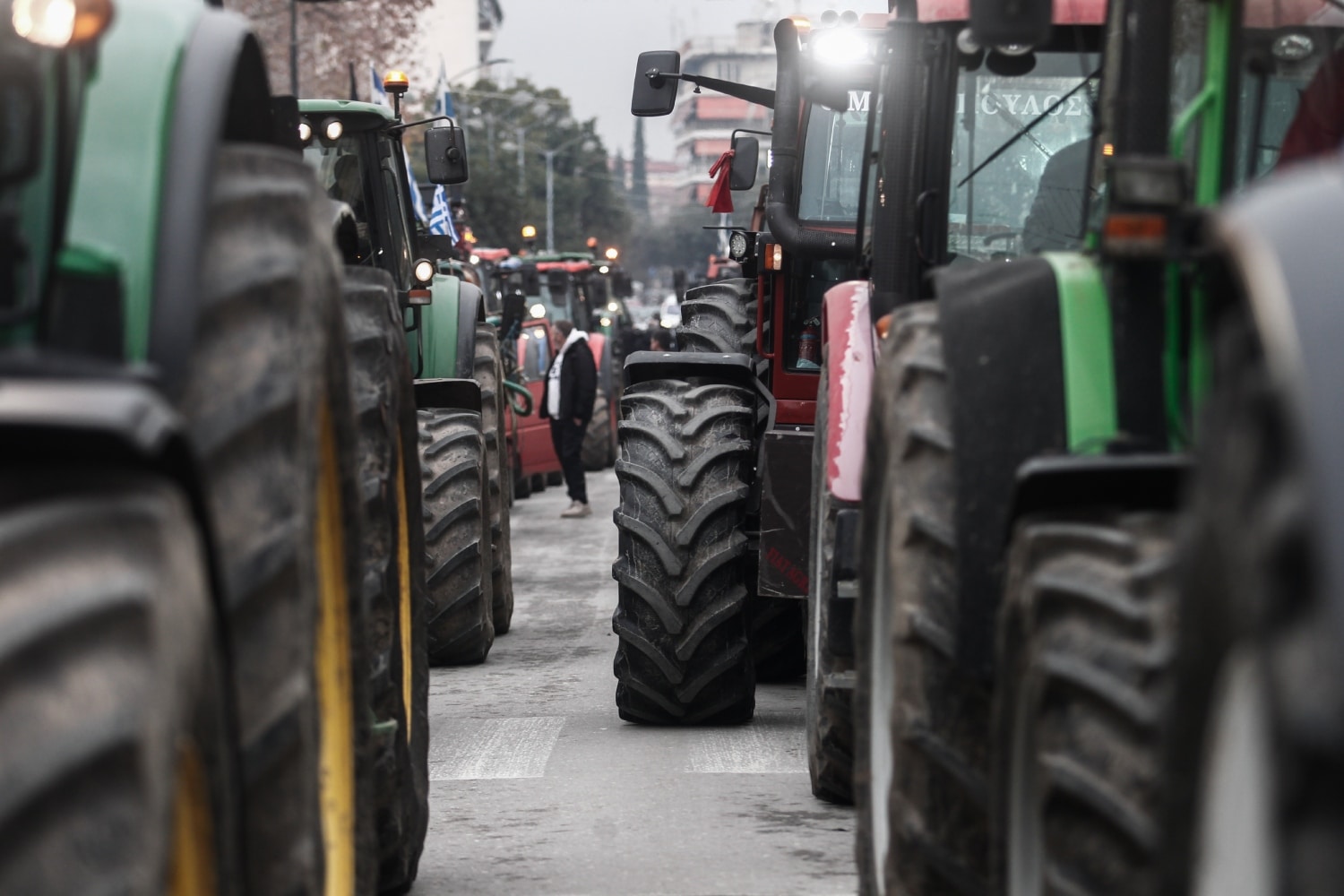 agrotes 31 1
