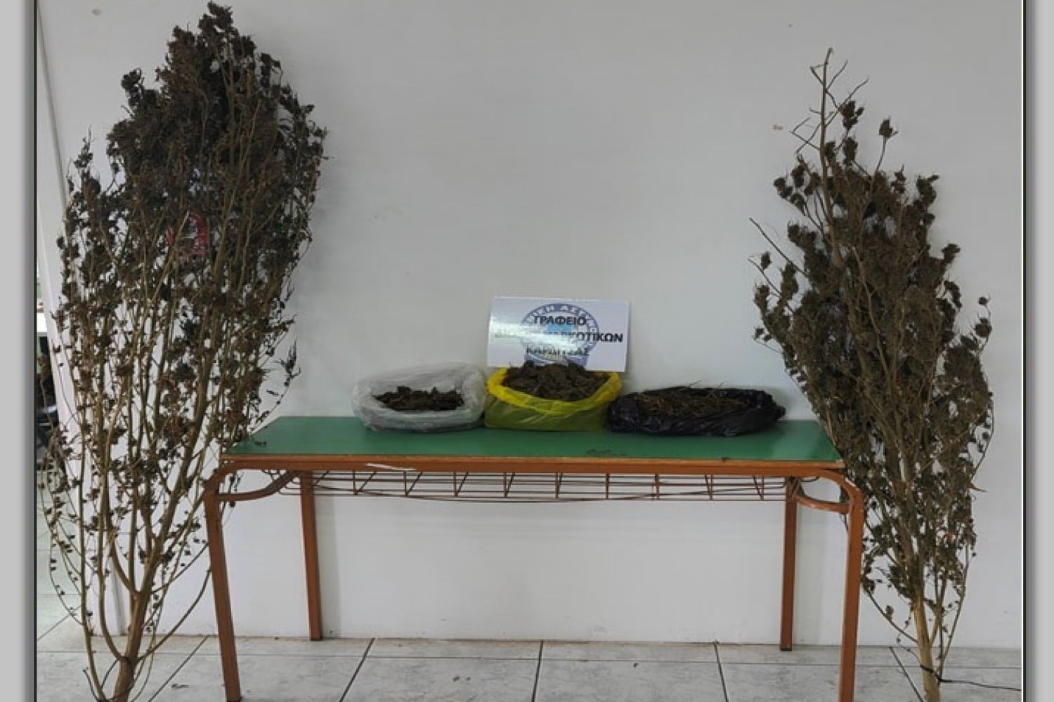 kannavi karditsa 22 11 2025