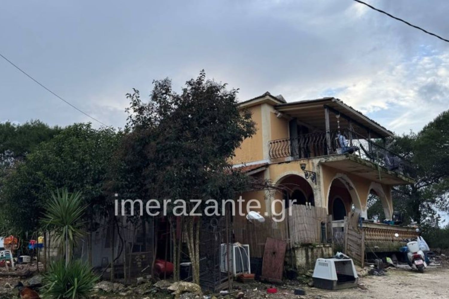 zakynthos epithesi skylou 7 12 25