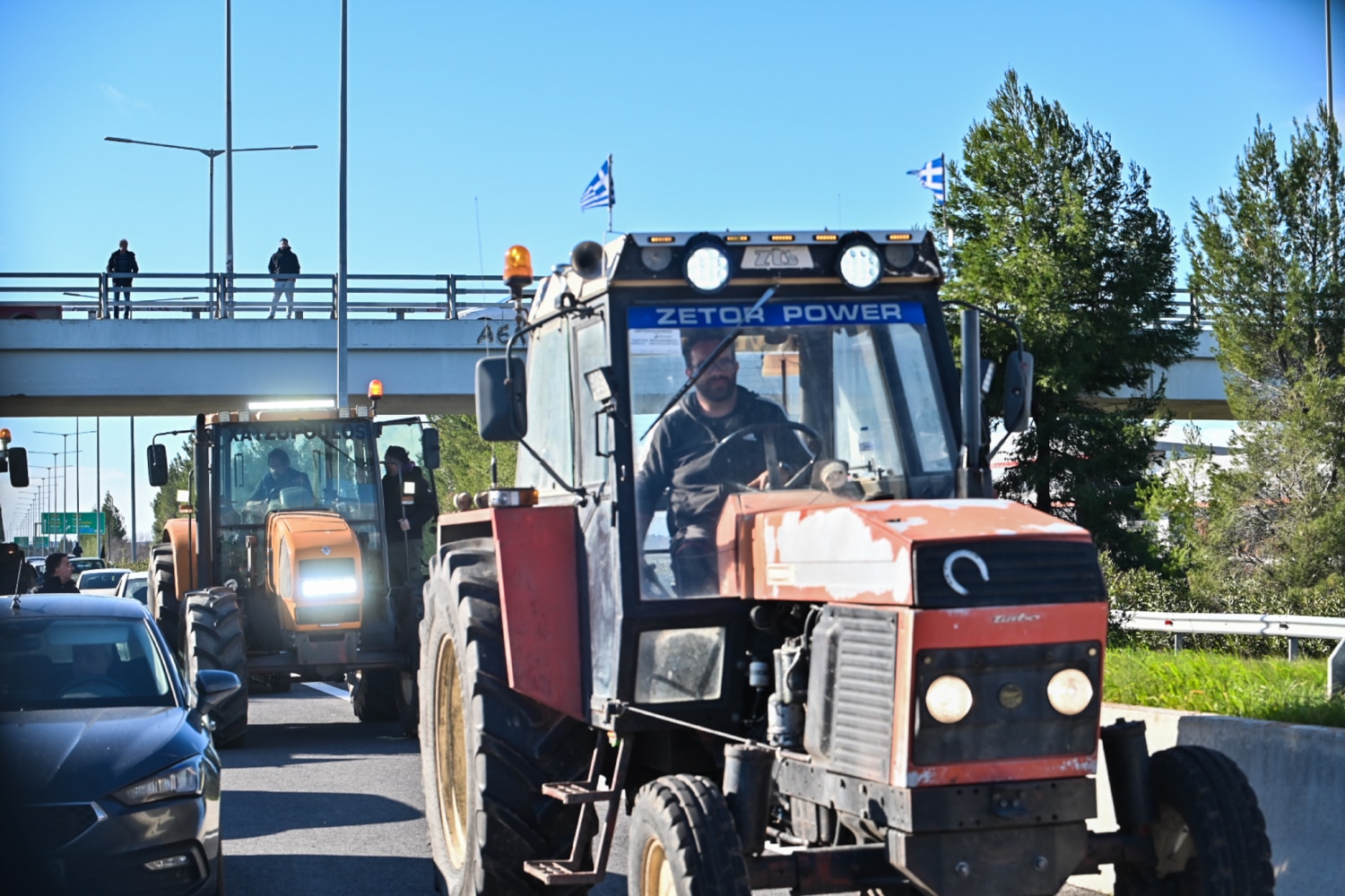 agrotes 8 1