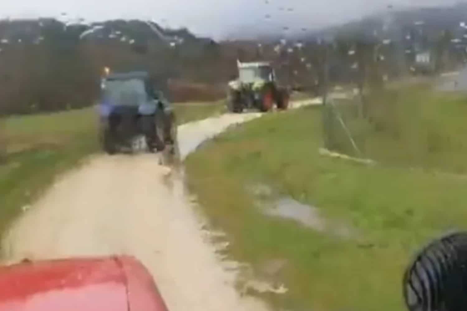 agrotes kalpaki 8 1