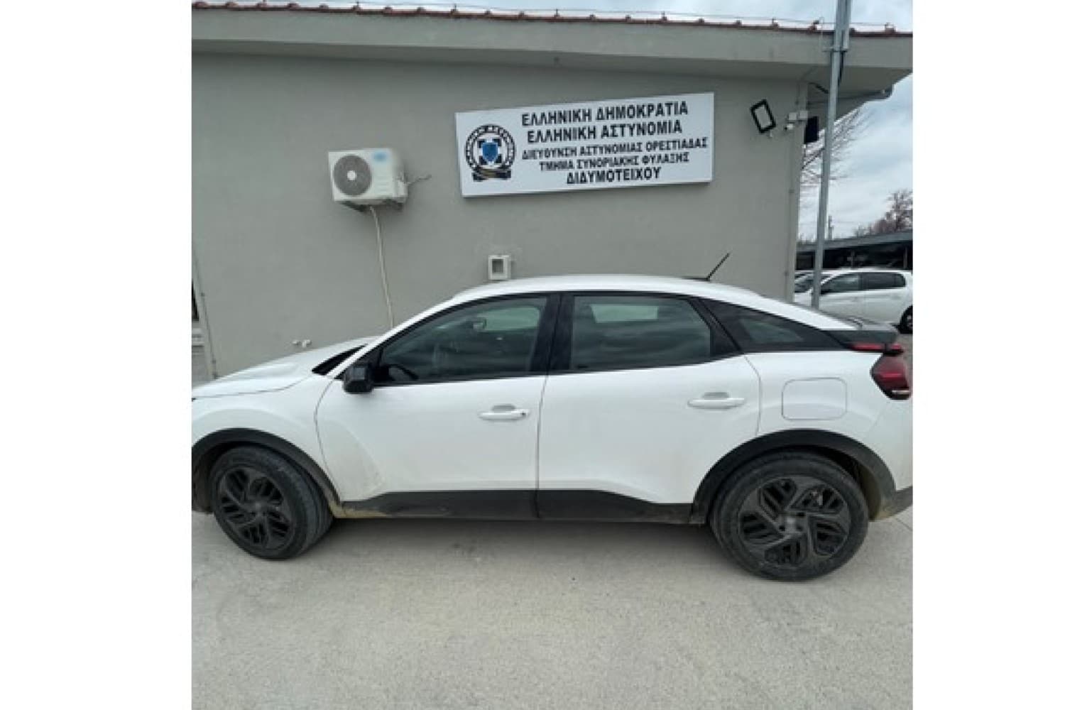 allodapos orestiada 21 3 2026