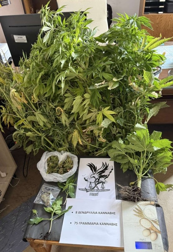rodos1