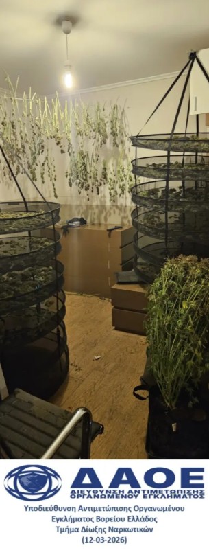 screenshot 2 7