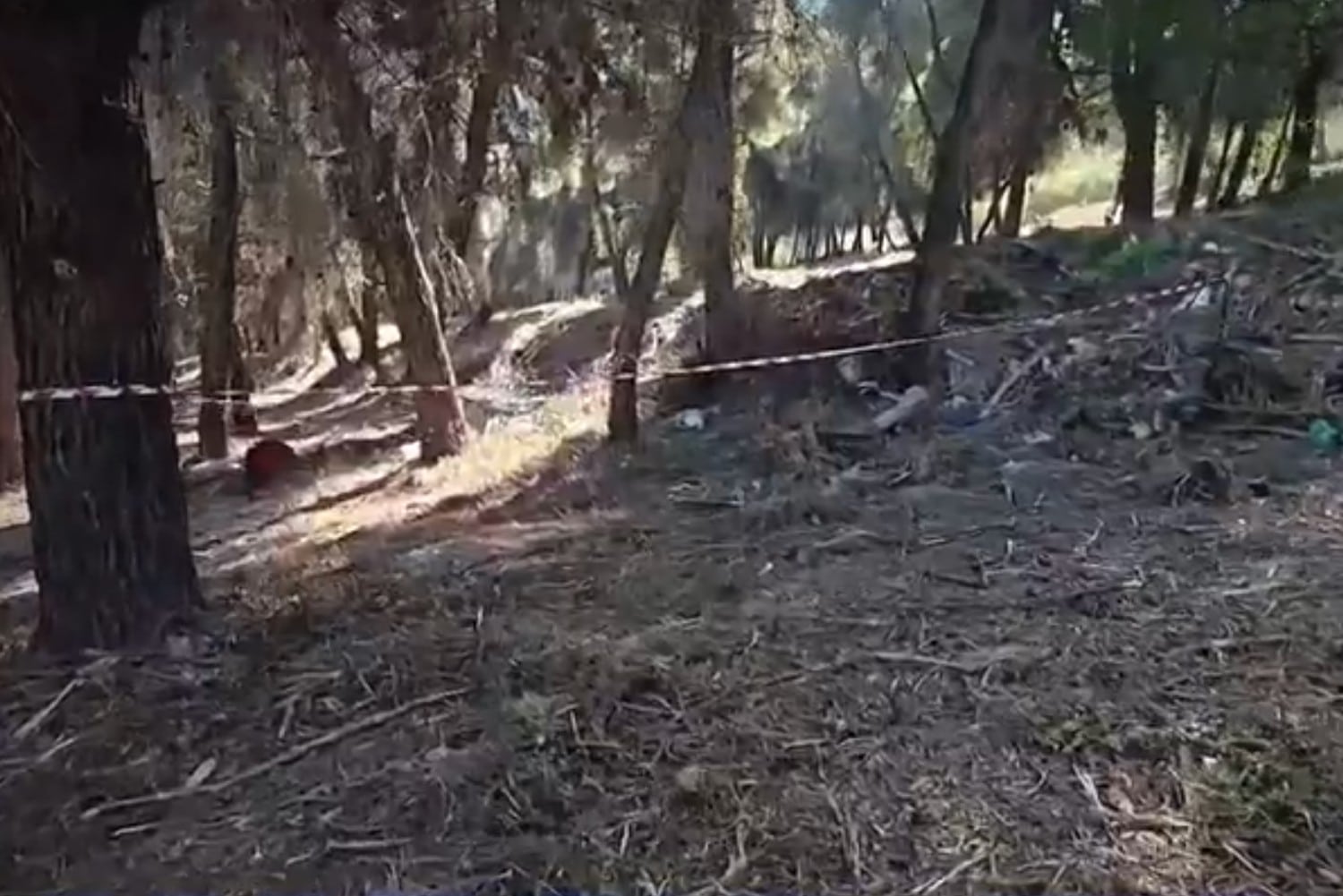 soros xalkidiki 21 3 2026
