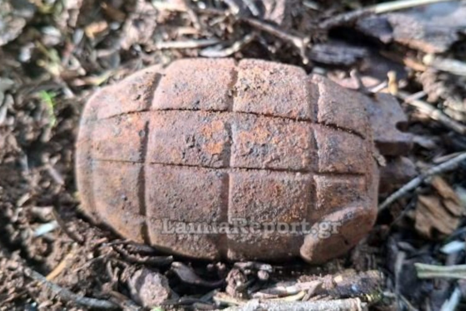 cheirobombida evritania 25 4