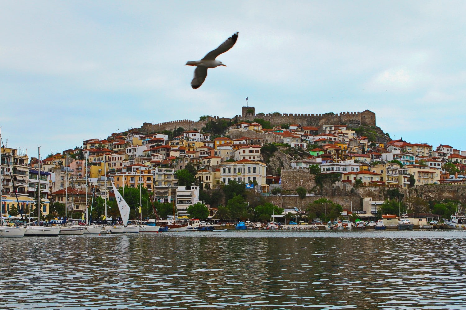 kavala poli 30 4 26