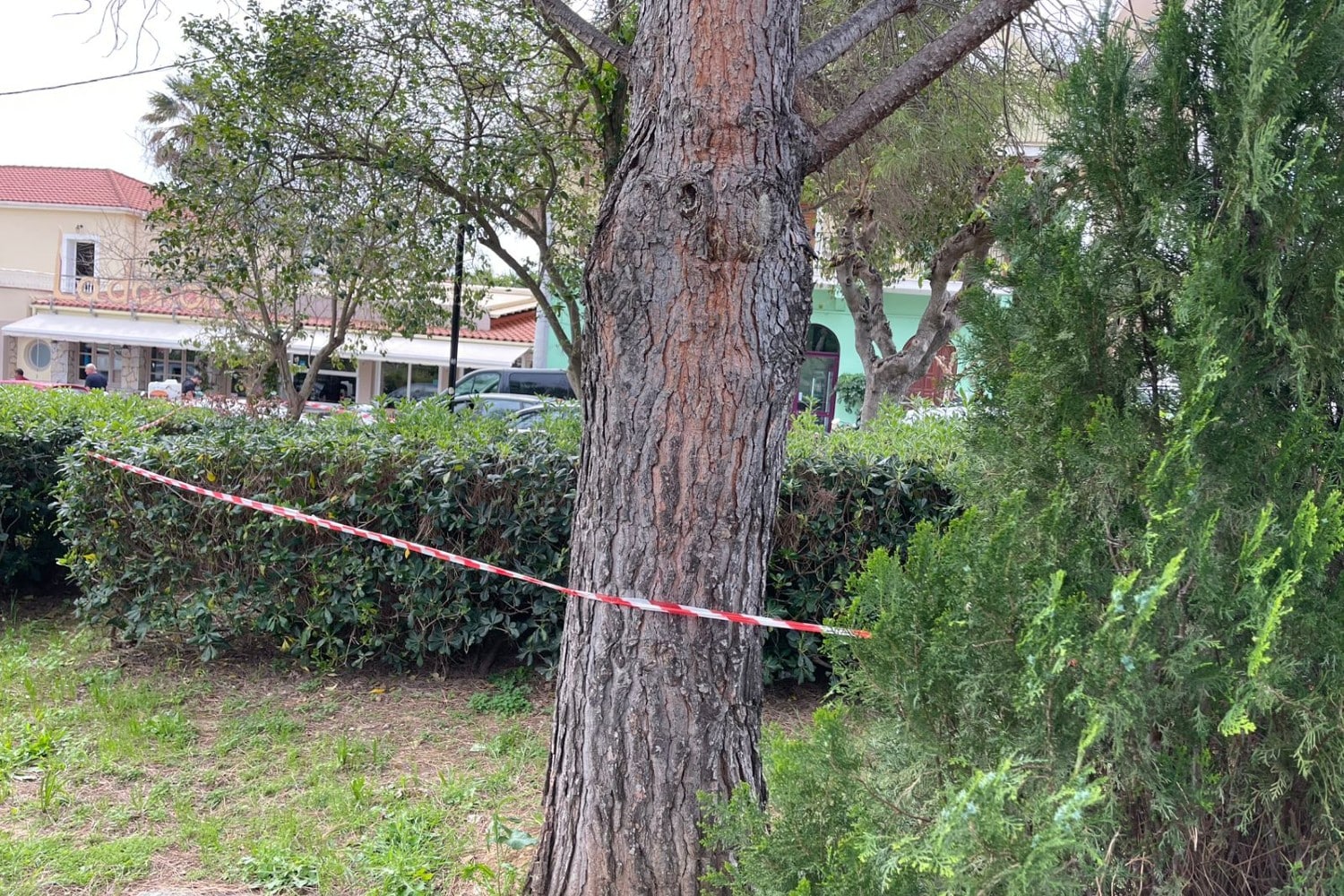 kefalonia nekri 19xroni 14 4 2026 2